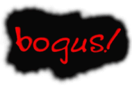 Bogus-Review-content.image-