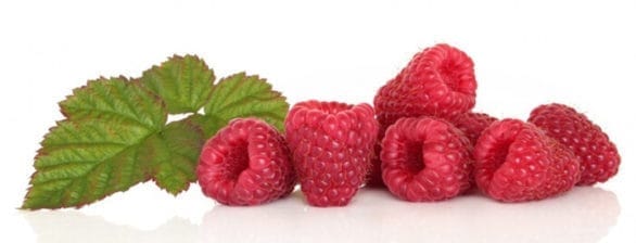 Raspberry Ketone _raspberry-ketones-product-image