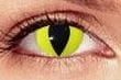 Costume Outfitters -yellow-cat-contact-lenses -ACLens