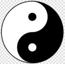 Complementary-Alternative-Medicine-