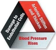 Blood Pressure Problems_vicious-cycle Blood Pressure Problems_vicious-cycle