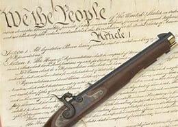 Gun Related Deaths _We The People_Retrieved 04.06.2018 - https://www.bing.com/images/search?q=gun%20images%20without%20copyright%20restrictions&qs=n&form=QBIR&sp=-1&pq=gun%20images%20without%20copyright%20restrictions&sc=1-41&sk=&cvid=14BEB3E3B6914638A9F48F34C831BCDD